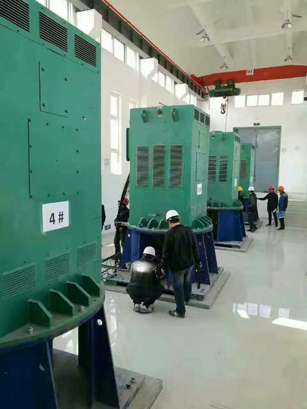 翔安某污水处理厂使用我厂的立式高压电机安装现场